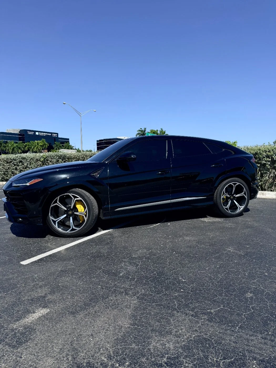 Lamborghini Urus Black-Yellow